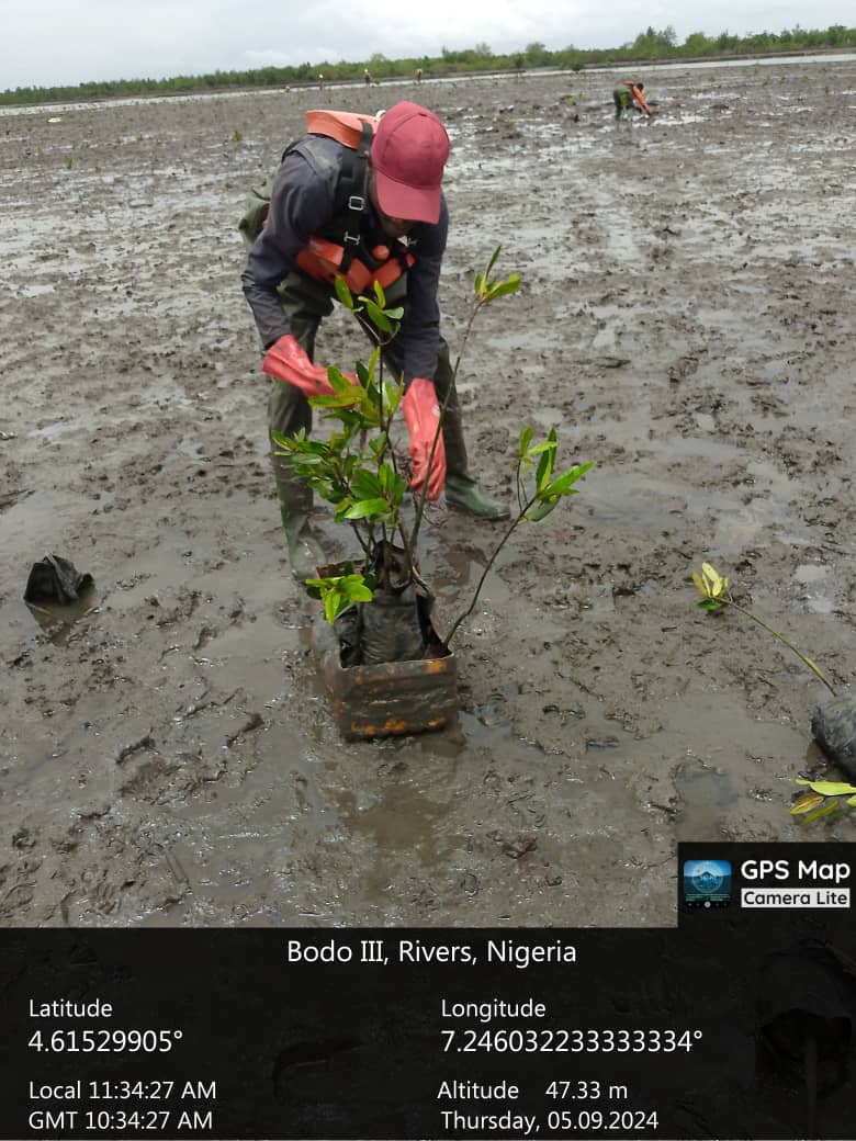 Bodo Remediation Project (Mangrove Restoration)